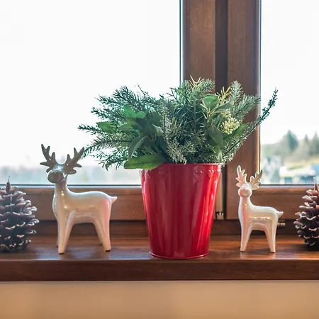 홈스테이 Sulejowka