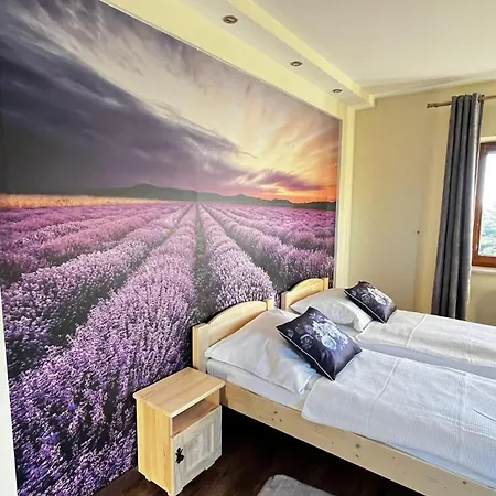 Sulejowka * 포로닌